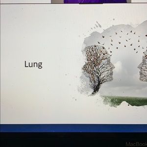 Meet your Posher, Margaret